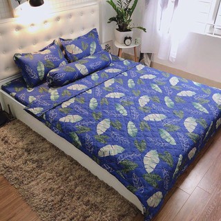 Set 1 drap 2 áo gối nằm 45 x 65 lá chuối mới 1m6/1m8