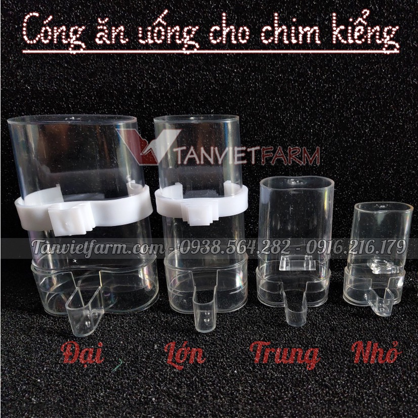 Máng ăn uống tự động cho chim cảnh [SET 10 cái size NHỎ]