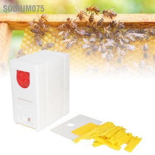 Sodium075 Double Deck Foam Beekeeping Brood House Box Beekeeper Equipment