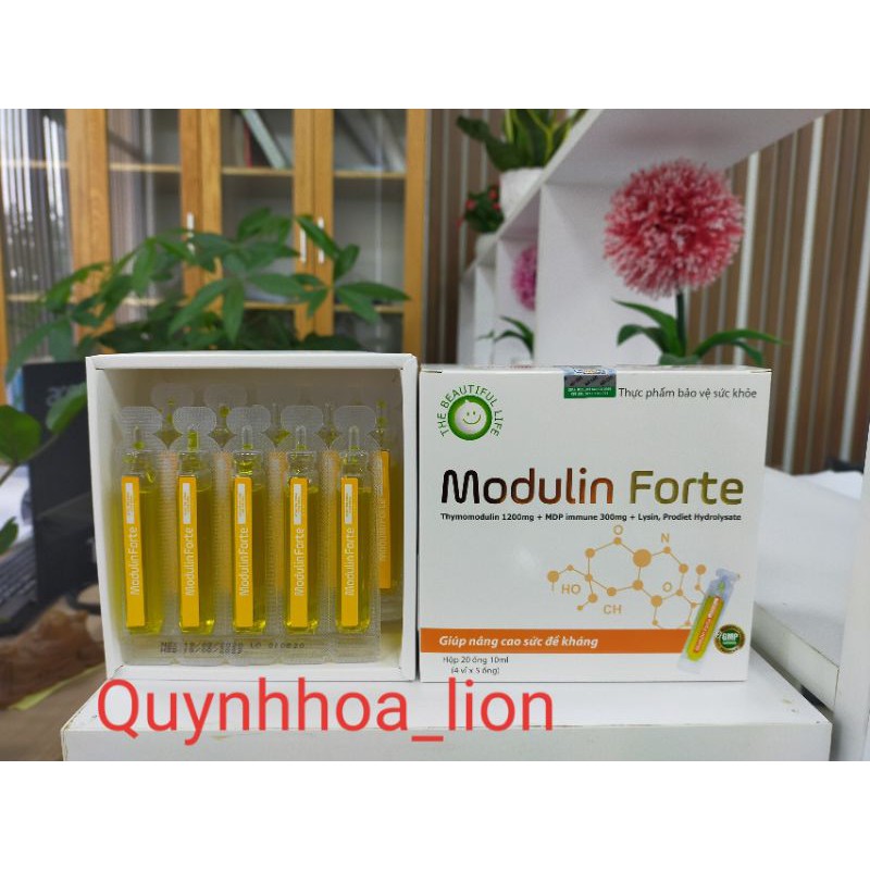 Giúp nâng cao sức đề kháng, giúp ăn ngon_ Modulin Forte