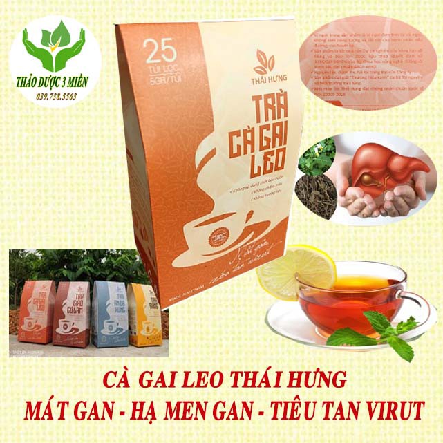 Trà Giải Độc Gan Mát Gan Cà Gai Leo Thái Hưng 25 Túi Lọc 125g Xóa Tan Mụn Nhọt Mẩn Ngứa hàng chính hãng