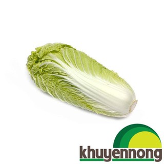 300 hạt giống rau cải thảo