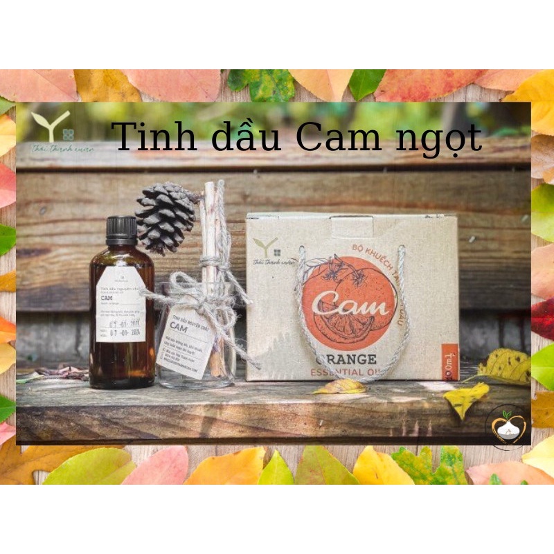 Tinh dầu cam ngọt ''Nhà của Thời Thanh Xuân''-Tinh dầu thiên nhiên nguyên chất,thơm phòng,thư giãn mùi cam