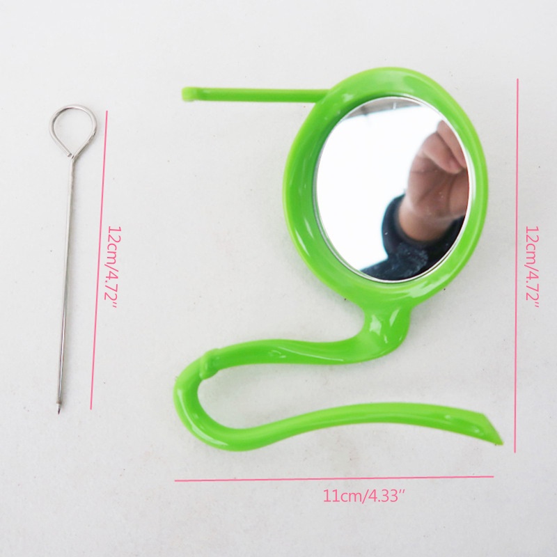 Giá Đỡ Trái Cây/Rau Củ Quả/Trái Cây Bằng Acrylic + Gương + Thanh Đứng 3 Trong 1 Dành Cho Chim Vẹt Cỡ Nhỏ Trung Bình