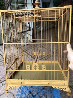 Lồng chào mào Huế (17 nan)
