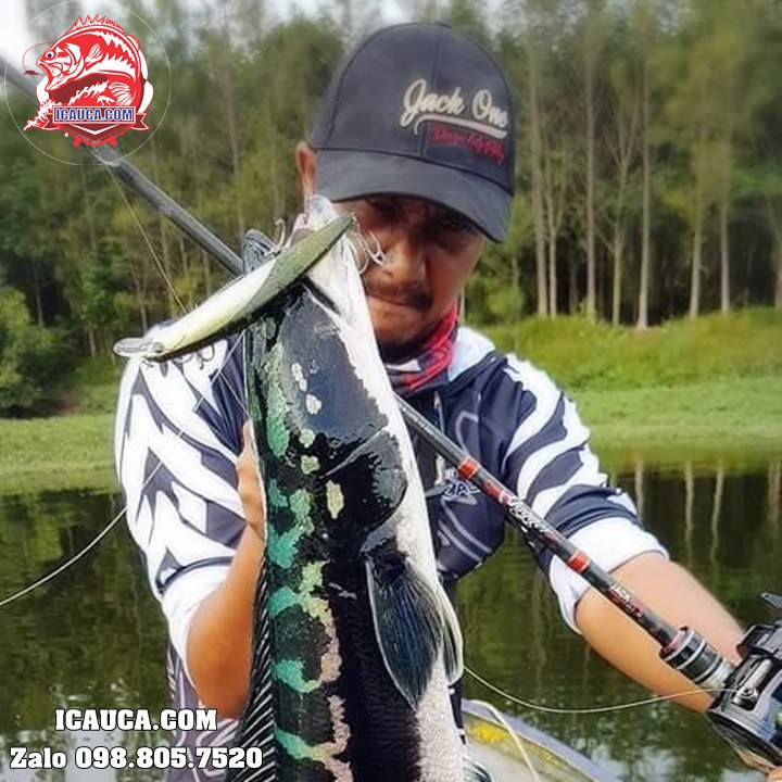 Jack One Thái Lan cần câu lure giá rẻ chuyên nghiệp hiệu quả