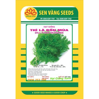 Gói 10Gr Hạt Giống Thì là Bốn mùa chịu nhiệt Dễ trồng