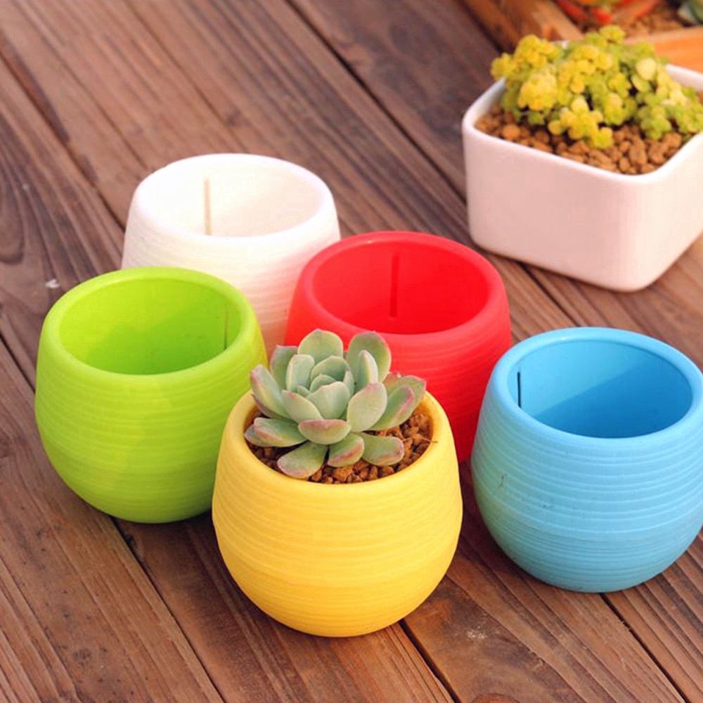 Chậu hoa mini bằng nhựa màu sắc dùng để trang trí nhà cửa