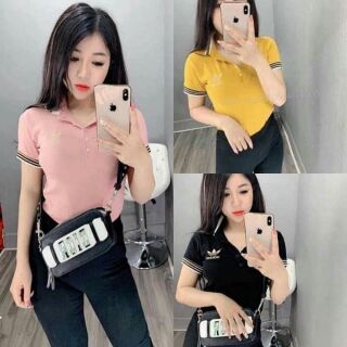 Áo thun cổ đức bozip