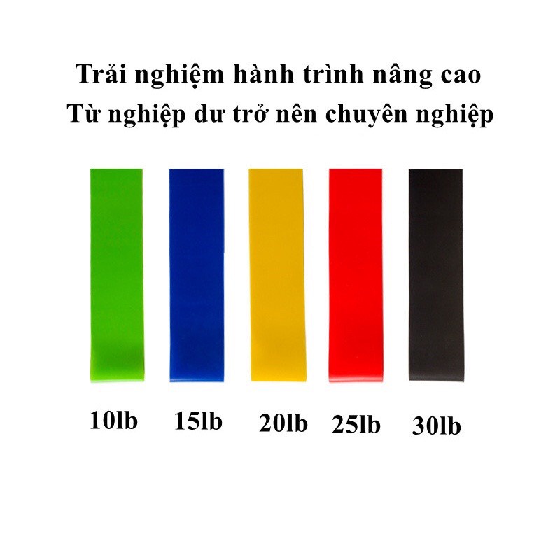Dây kháng lực mini Band Cao Su Đàn Hồi Tập Mông, Chân, Đùi, Gym Tại Nhà có nhiều màu sắc và theo mức độ khác nhau