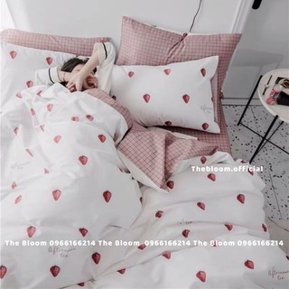 Set Chăn Ga Gối Cotton poly 4 Món - Quả Dâu
