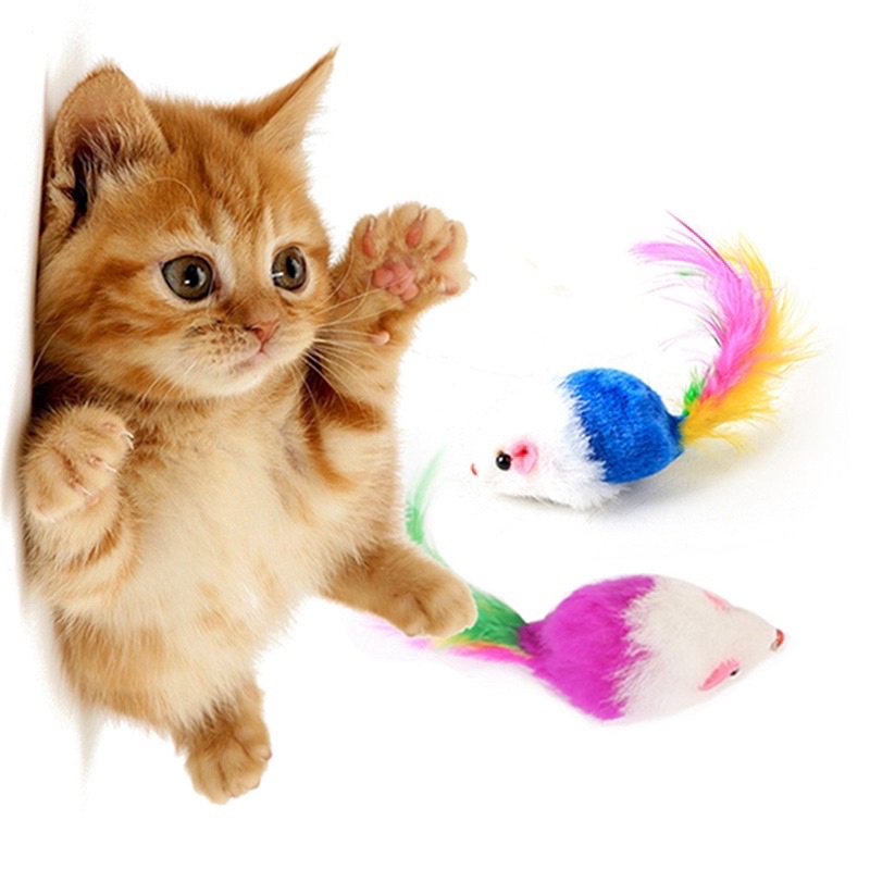 Chuột lông vũ đồ chơi cho mèo🐹