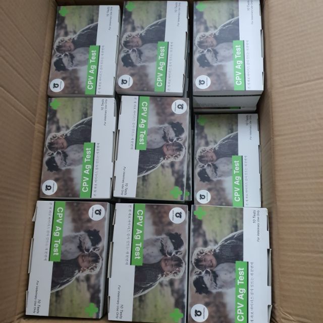 Que test bệnh Parvo (CPV) cho chó