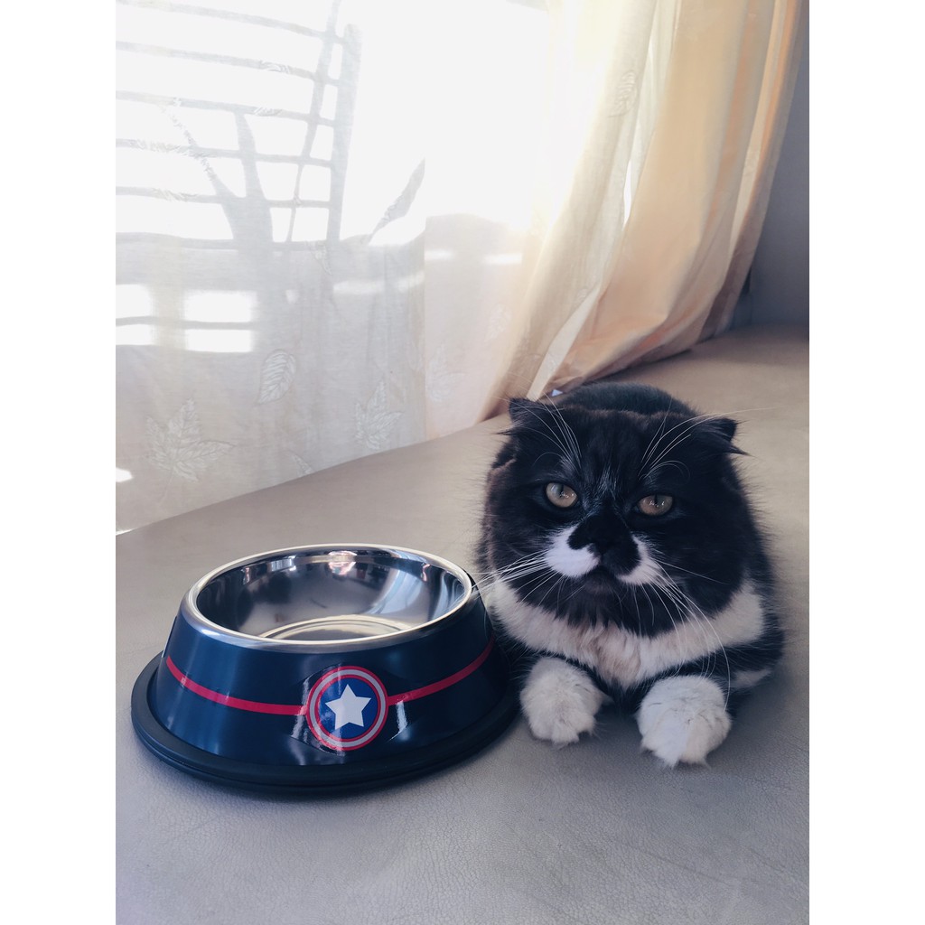 Bát ăn Inox Cao Cấp Captain Marvel Cho Chó Mèo - Đế Chống Trượt - Size 22cm