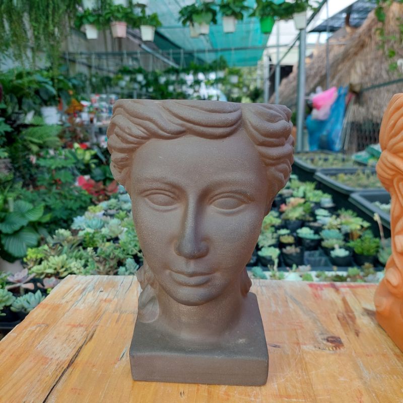 Chậu đất nung, Chậu sen đá - Chàng trai Venus lớn, miệng chậu 14cm, chiều cao 22cm