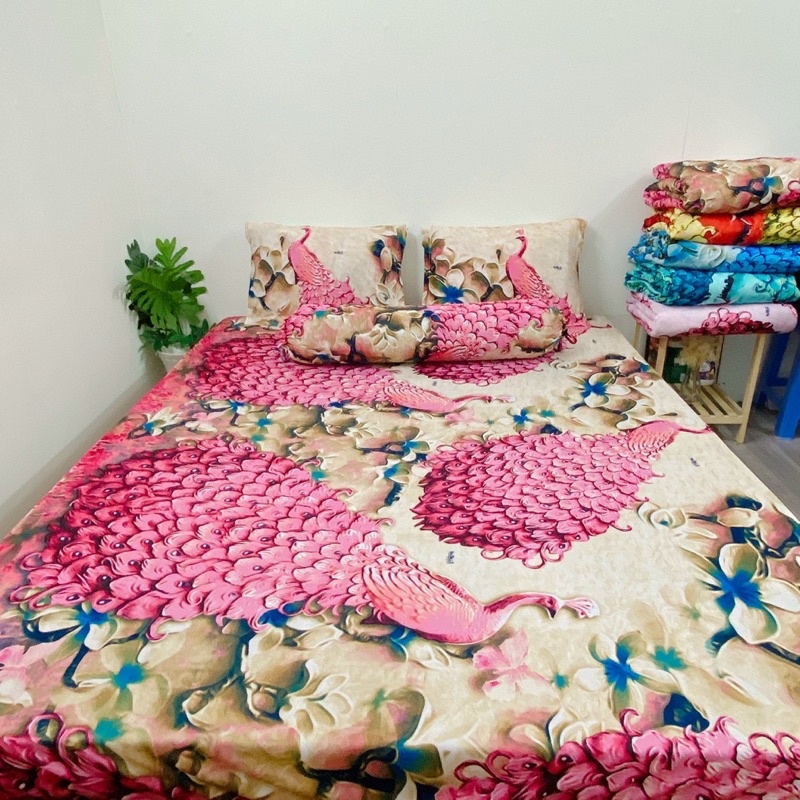 Bộ ga và vỏ gối thun Hàn mẫu con công