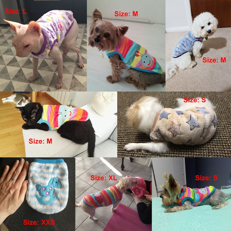 Áo Khoác Kiểu Hoạt Hình Giữ Ấm Mùa Đông Cho Thú Cưng