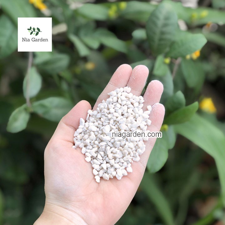 Đá Perlite đá trân châu giá thể trồng cây sen đá xương rồng mini Nia Garden N6