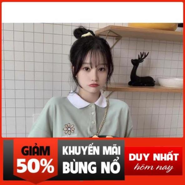 SALE Áo Phông Polo Nữ Có Cổ Thêu Hoa Cúc 2 Màu Trắng, Xanh 🌺 👑 ⭐