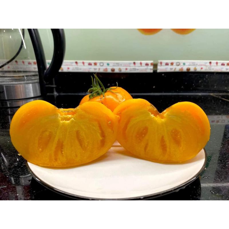 Hạt giống Cà chua cam đường F1