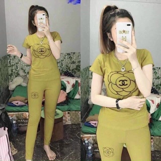 đồ bộ  thun cotton sz 40 -70kg