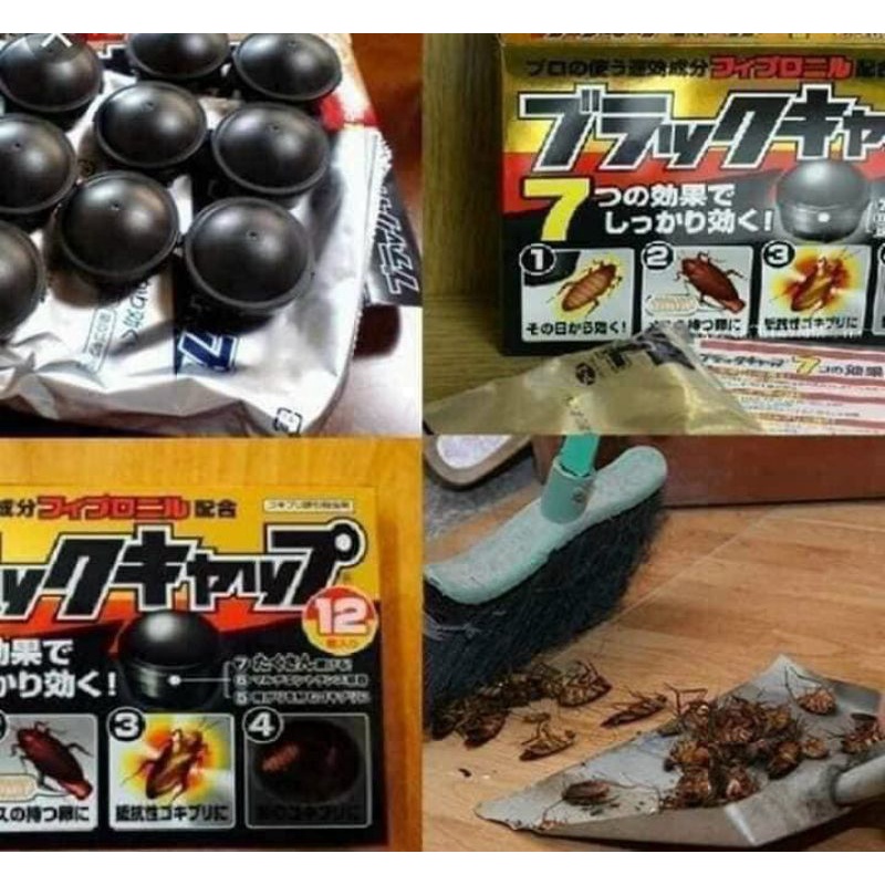 Hộp 12 viên Diệt gián Nhật Bản an toàn cho gia đình