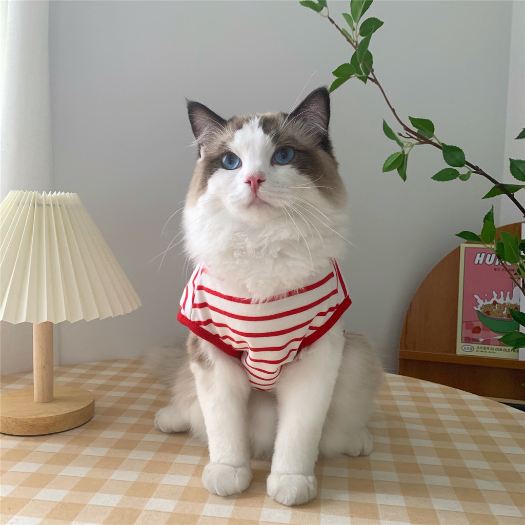 Áo Ba Lỗ Mùa Hè Cho Thú Cưng