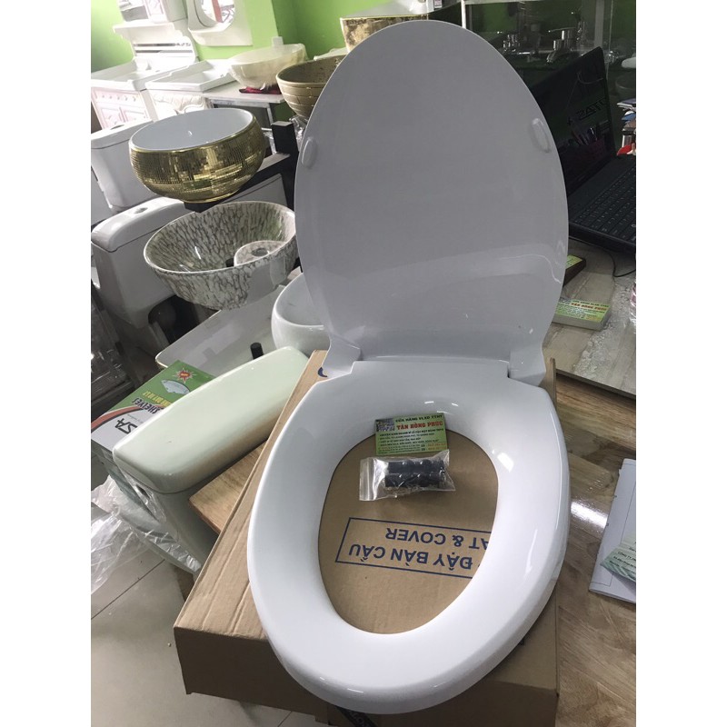 (Toto chính hãng 100%)NẮP NHỰA BỒN CẦU TOTO C884,C864,CS300,CS320,CS325,CS948,CS818,CS767,CS769…RƠI ÊM (Chính hãng 100%)