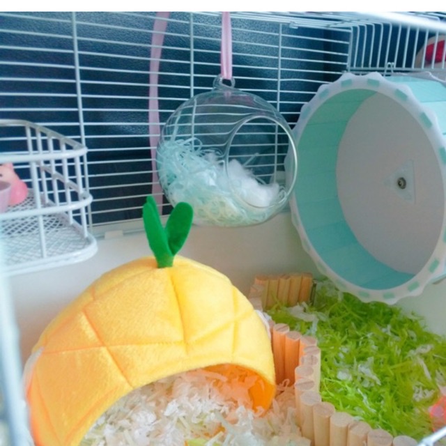 nhà ngủ thuỷ tinh treo trong suốt cho hamster