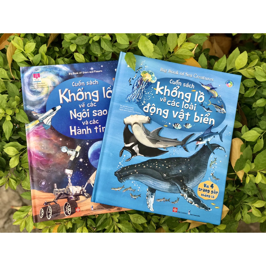 Sách - Big book Cuốn sách khổng lồ về  con số khủng long, vũ trụ, đại dương... - nhiều chủ đề - chọn lẻ