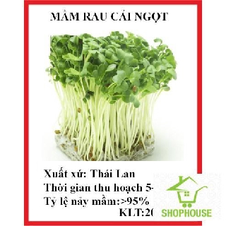 shophouse 20 gram hạt giống mầm rau cải ngọt  SHOP HOUSE  TẾT KHUYẾN MẠI