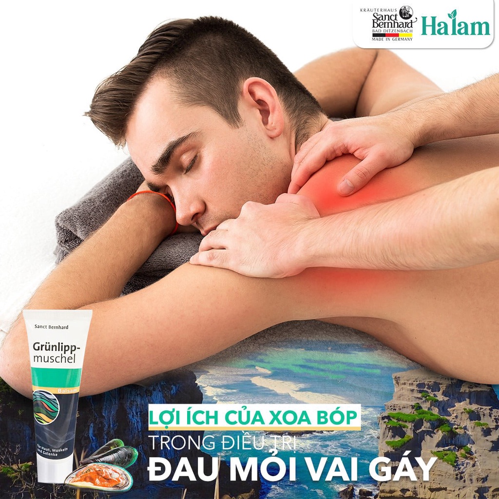 Sản phẩm xoa bóp khớp Vẹm Xanh Grunlippmuschel- Balsam [Mỹ phẩm chính hãng Sanct Bernhard - CHLB ĐỨC]