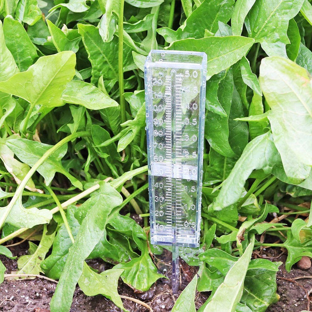 Dụng Cụ Đo Lượng Mưa Ngoài Trời Bằng Nhựa Trong Suốt