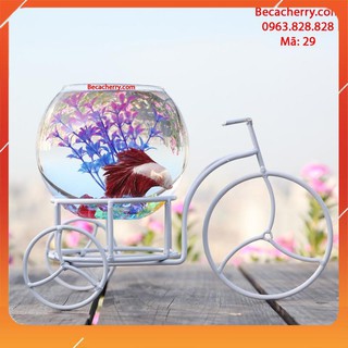Giá Đỡ Bể Cá Mini Xe Đạp