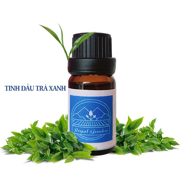 Tinh dầu trà xanh nguyên chất dung tích 10ml