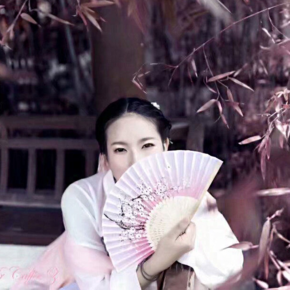 Quạt Xếp In Họa Tiết Phong Cách Trung Hoa Cổ Điển Bằng Lụa Dùng Làm Quà Tặng/ Trang Trí Nhà Cửa