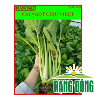 [Miễn Phí vận Chuyển] 10 Gram Hạt Giống Cải Ngọt Chịu Nhiệt Tốt  - Hạt Giống Chịu Nhiệt