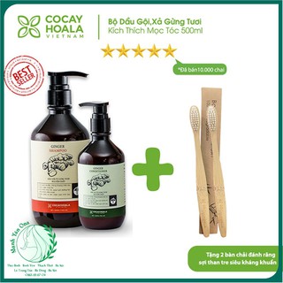 💥💧[CHÍNH HÃNG]💥💧 Bộ dầu gội-xả gừng tươi Cocayhoala kích thích mọc tóc 500ml [HOT NHẤT]💥💧