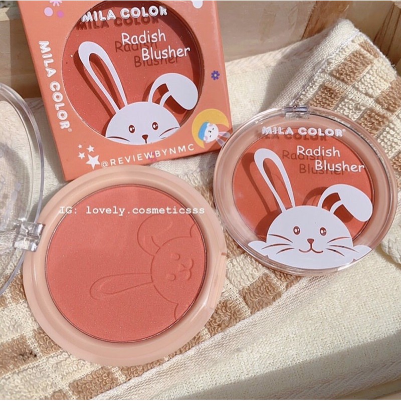 Phấn Má Hồng Anylady Đơn Sắc Mã 789B | BigBuy360 - bigbuy360.vn