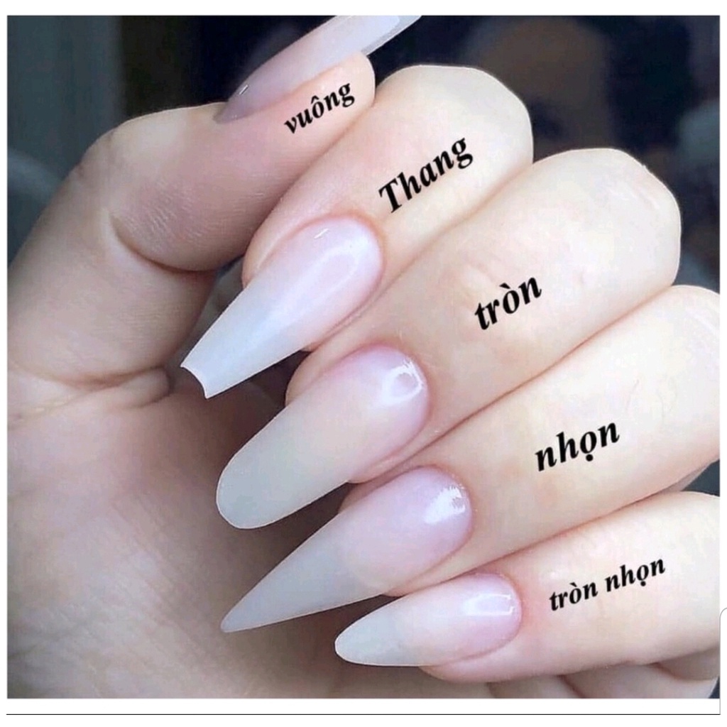 NAIL BOX MÓNG ÚP THIẾT KẾ - KÈM THEO DŨA VÀ KEO GẮN