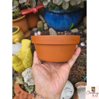 Chậu đất nung - chậu thau miệng 12, cao 5.5