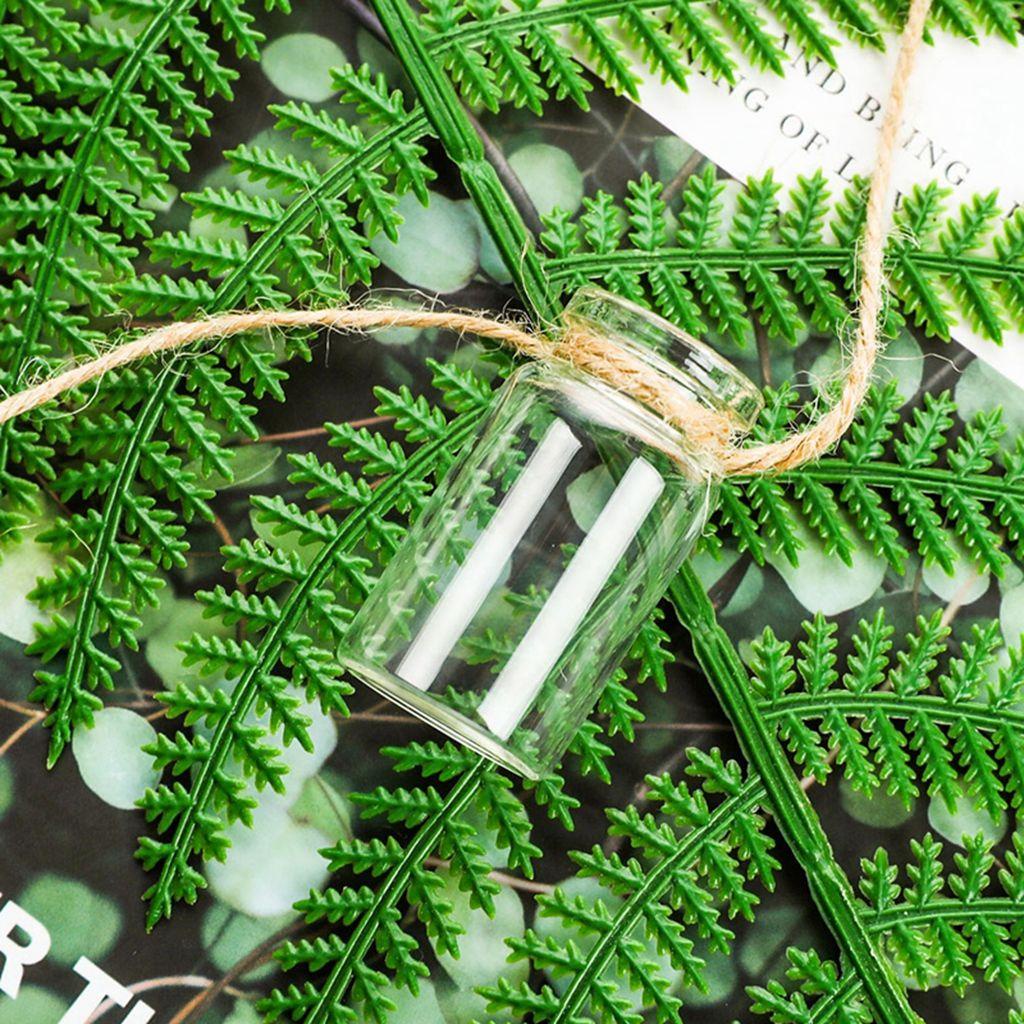 Chậu Kính Trồng Cây Thủy Canh Mini Treo Tường Kèm Chuông Gió Và Dây Thừng Phong Cách Bắc Âu