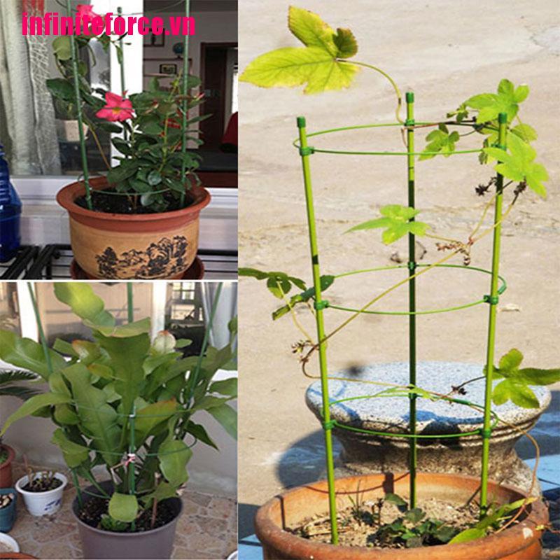 Bộ Dây Thừng Hỗ Trợ Trồng Cây Leo Kích Thước 1 45cm