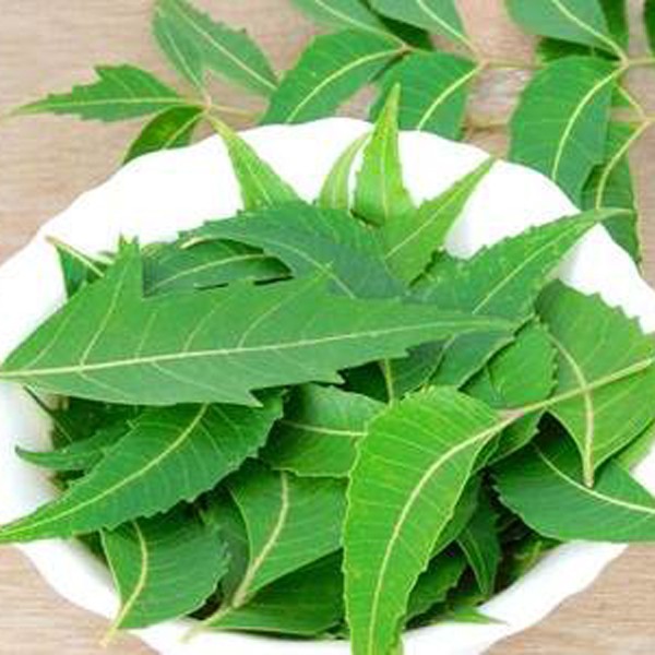 Bột Lá Neem Ấn Độ 100g