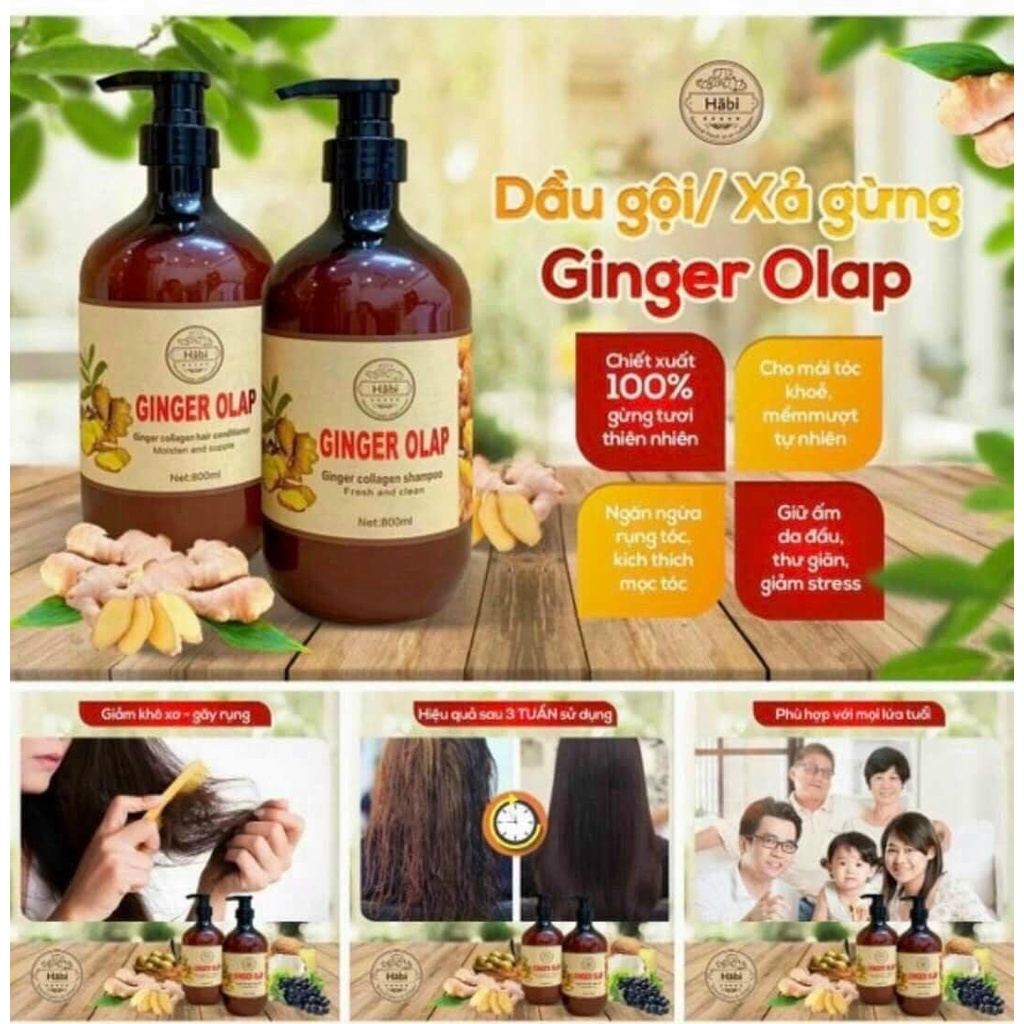 Cặp Dầu Gội Xả Gừng tươi Ginger Olap 800ml x2