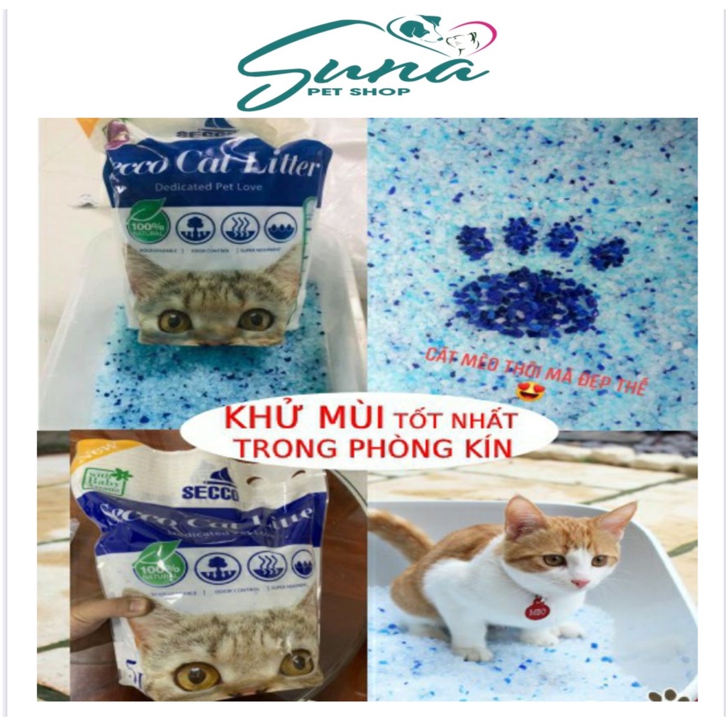 Cát THỦY TINH Secco Silly Cat 5Lít Siêu Rẻ - Siêu Tiết Kiệm - Được Tin Dùng Nhiều Nhất Hiện Nay.
