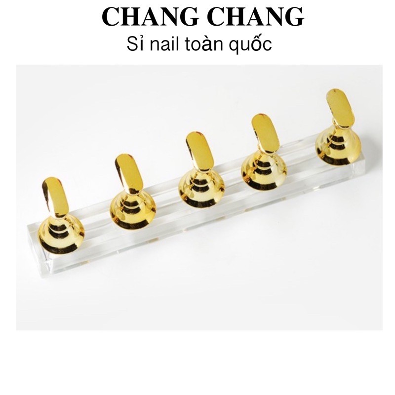 Bộ 5 đế đỡ móng mẫu,tập vẽ,có nam châm