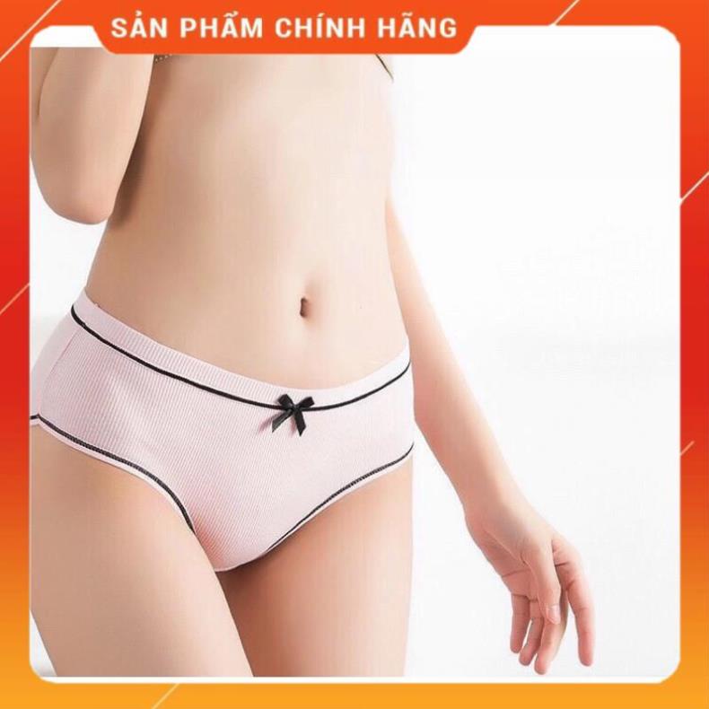 Quần Lót Cotton Tăm Viền Kẻ Phối Nơ Cao Cấp 028