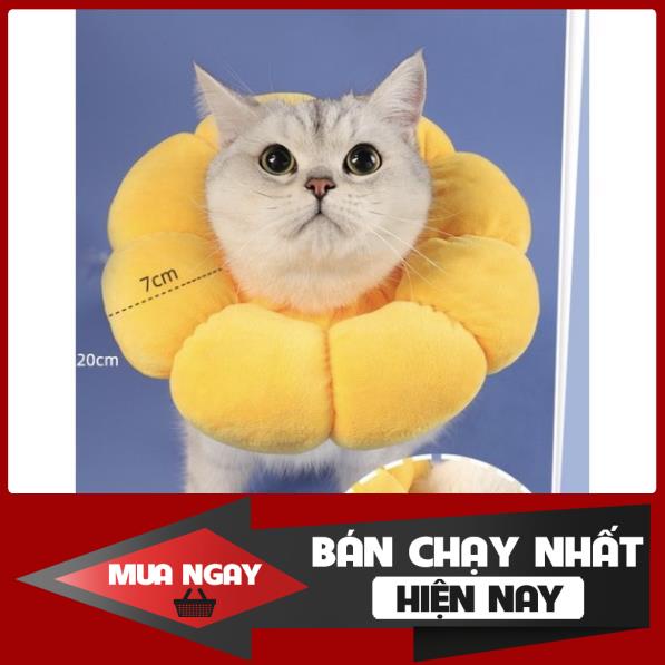 [NEW] Vòng chống liếm hình hoa cho chó mèo bông mềm mịn nhiều màu cao cấp