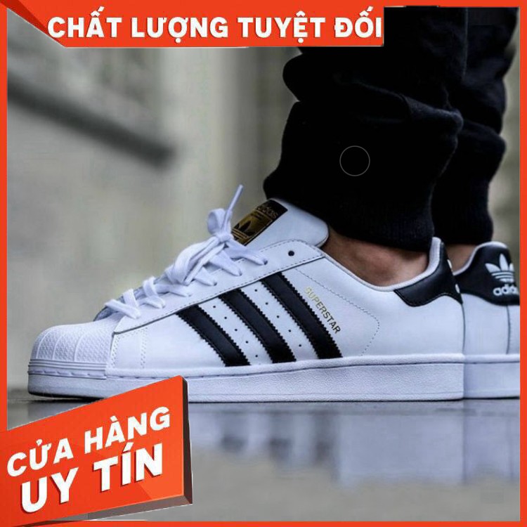 [FULL BOX] Giày Thể Thao Adidas Nam Nữ Vỏ Sò | BigBuy360 - bigbuy360.vn